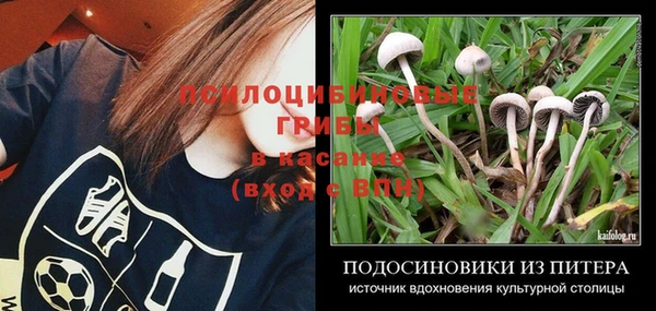тгк Абаза