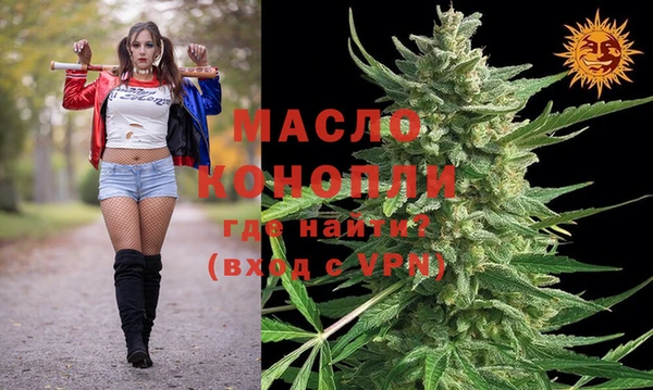 тгк Абаза