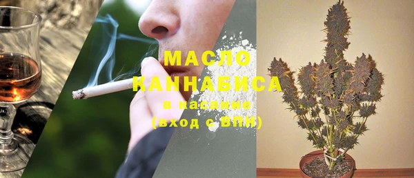 тгк Абаза