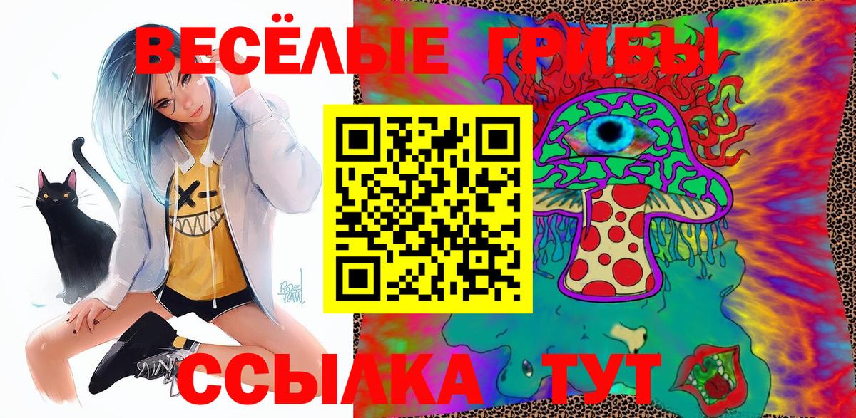 Батайск  наркотики  Вход с VPN  Галлюциногенные грибы GOLDEN TEACHER 